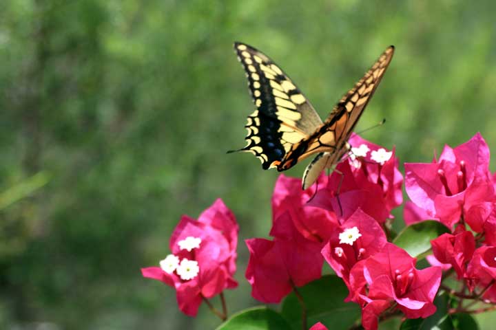 岩手県盛岡市レイキサロン 癒し空間ソアン